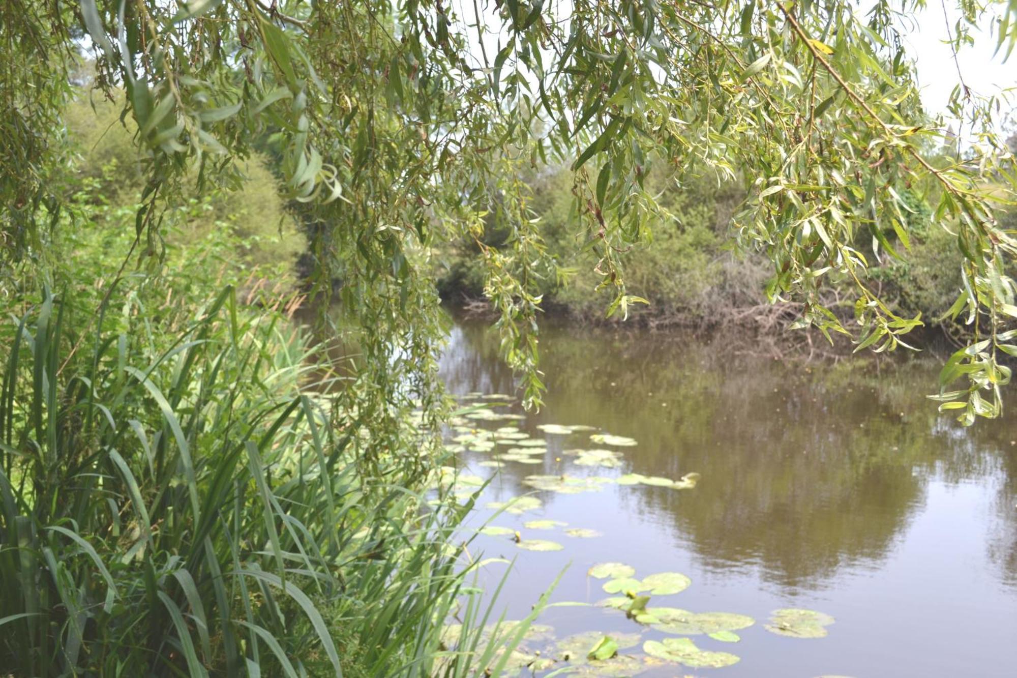 Les Bruyeres Appartamento